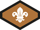 Chief Scout Bronze