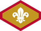 Chief Scout Gold