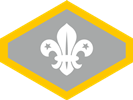 Chief Scout Silver